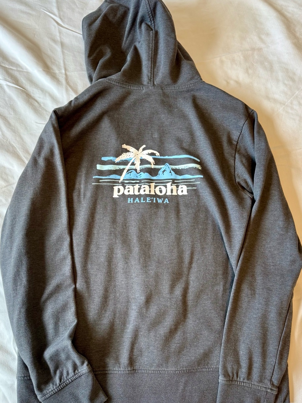 Patagonia Haleiwa Hawaii Men's Dark Gray Zip-Up Hoodie